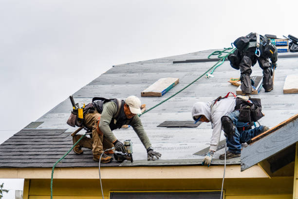 Professional Storm Damage Roof Repair technician working in Highland, MI